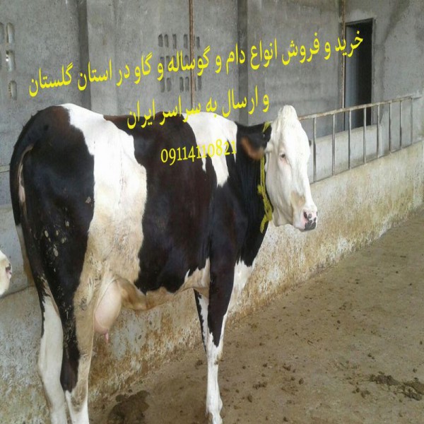 http://asreesfahan.com/AdvertisementSites/1398/03/22/main/01.jpg