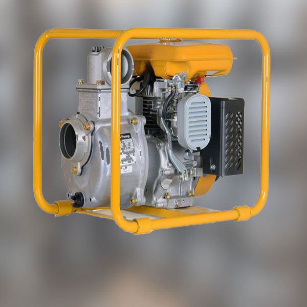 http://asreesfahan.com/AdvertisementSites/1400/09/06/main/pump-motor-benzini-1.jpg