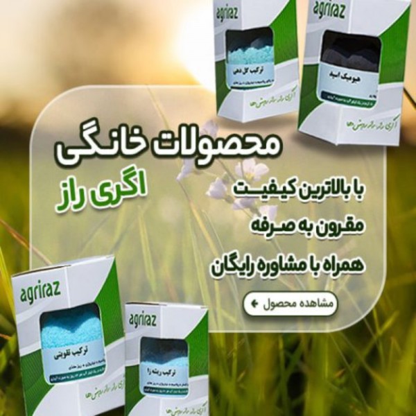 http://asreesfahan.com/AdvertisementSites/1401/04/30/main/98605-500x500_copy_800x800.jpg
