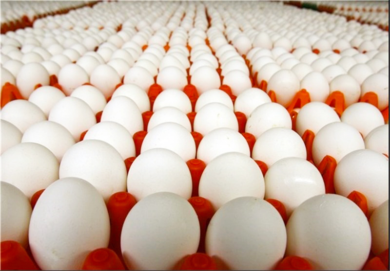 افزایش 10تا12 درصدی نرخ تخم مرغ در اصفهان