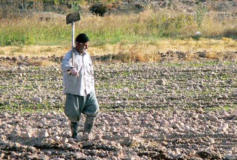 خشکی ۹۹ درصد اراضی کشاورزی شرق اصفهان